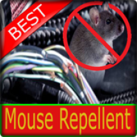 Anti Rat Repeller APK صورة الغلاف