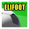 Elifoot 16 Beta (Unreleased) Apk