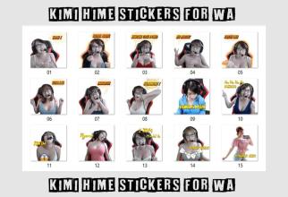 Kimi Hime For WA Sticker APK Download for Android