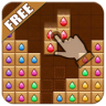 Gems Jewel Puzzle Game icon