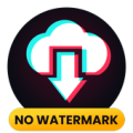 Video Downloader for TikTok - No Watermark Apk