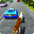 Pet Run for life in traffic: Survival from Wild Apk