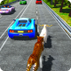 Pet Run for life in traffic: Survival from Wild APK