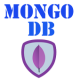 Learn mongoDB APK