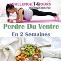 Perdre du ventre en 2 semaines (Menu et Exercices) Apk