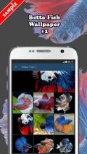 Betta Fish Wallpaper APK Download for Android