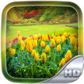 Garden Wallpaper HD Apk