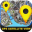 Live Navigation Maps &amp; Street View Tracking Download on Windows