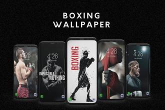 Boxing Wallpaper APK Download for Android