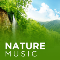 Изображения Nature Sounds: relax,sleep & meditation на ПК с Windows