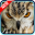 Owl Wallpaper Download on Windows