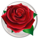 Special Rose Live Wallpaper APK