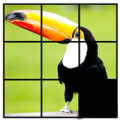 Jungle photo Puzzle Apk