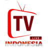 TV Indonesia Live Application icon