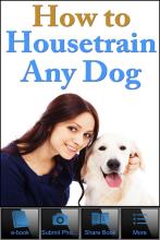 How To House Train Your Dog APK Download for Android