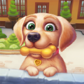 Pet Clinic Apk