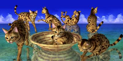 LOVE CAT!!  -Bengal cat (Unreleased) APK Ảnh chụp màn hình #1