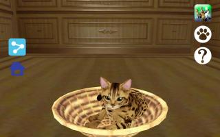 LOVE CAT!!  -Bengal cat (Unreleased) APK Ảnh chụp màn hình #19