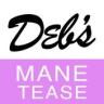 Deb's Mane Tease Application icon