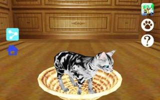 Captura de pantalla de LOVE CAT!! American Shorthair (Unreleased) APK #7