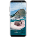 Hungry Shark Apk