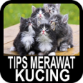 Tips Memelihara Kucing Apk