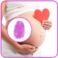 Pregnancy Test Simulator Apk