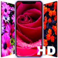 Изображения Flower Wallpapers на ПК с Windows