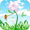 Floral Live Wallpaper Apk