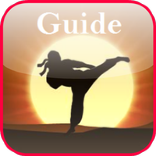 Guide shadow