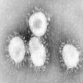 CoronaVirus Apk