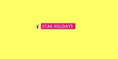 Stag Holidays APK Ekran Görüntüsü Küçük Resim #1