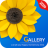 Scarica Gallery APK per Windows