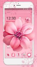 Beautiful Pink Flower Theme APK Download for Android