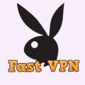 Fast VPN Apk