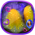 Raindrops Heart Live Wallpaper Apk