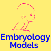 Изображения Embryology Models на ПК с Windows