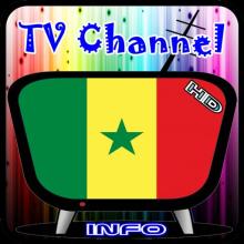 Info TV Channel Senegal HD APK Download for Android