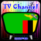 Info TV Channel Zambia HD APK