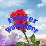 HD Flower Wallpaper Application icon