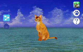 LOVE CAT!!  Abyssinian cat (Unreleased) APK Ảnh chụp màn hình #6