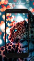 Cheetah Wallpapers HD APK צילום מסך #1