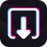 Tiktok Video Saver Application icon