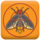 Anti fly repellent APK