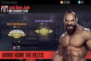 Ultimate Fighting Championship APK capture d'écran Thumbnail #2