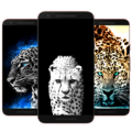 Cheetah Wallpapers HD Apk