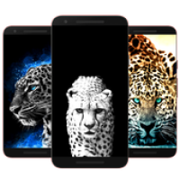 Изображения Free Cheetah Wallpaper Hd на ПК с Windows