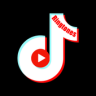 The latest TIK TOK popular ringtones download Application icon