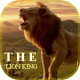 Lion King Wallpaper HD APK