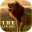Lion King Wallpaper HD Download on Windows